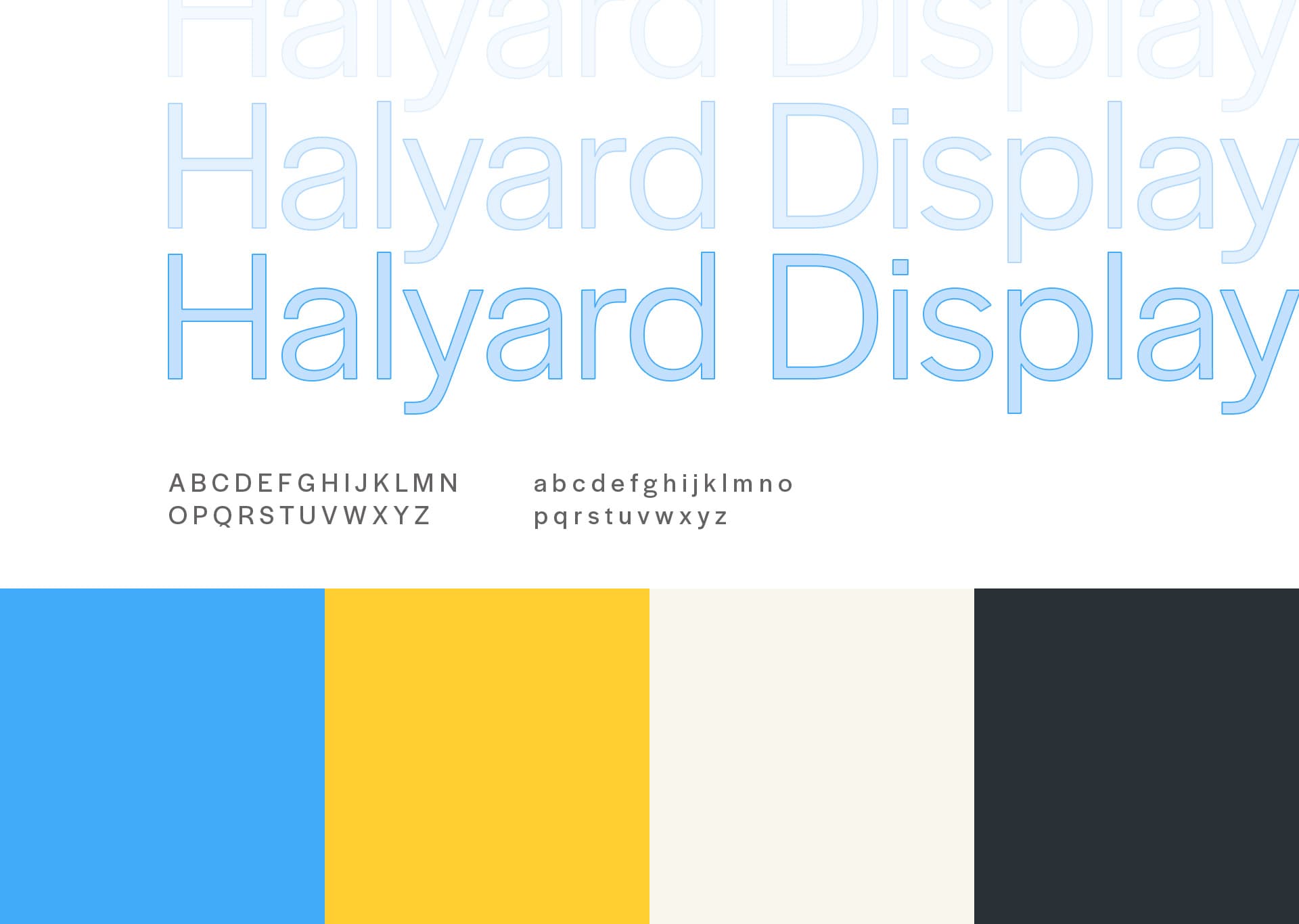 Final brand colors and typography